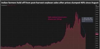 Indian farmers hold soybeans as government measures cut prices