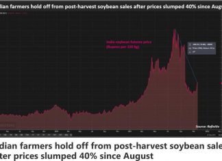 Indian farmers hold soybeans as government measures cut prices