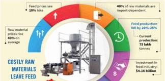Rising raw material costs throw spanner on Bangladesh feed industry’s recovery