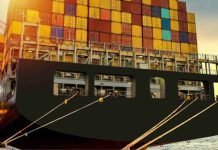 Revised US corn and soybean production – USDA forecast