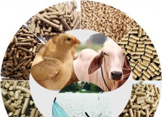 Why are Vitamins essential for Animal Health and Productivity?