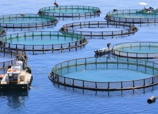 Sustainable aquaculture needs to be redefined