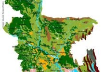 Increasing Maize plantation in Bangladesh