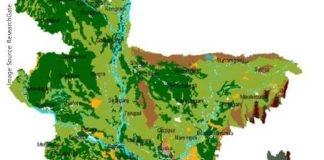 Increasing Maize plantation in Bangladesh