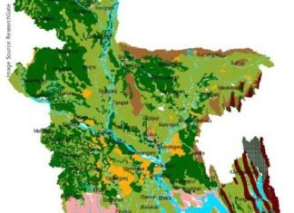 Increasing Maize plantation in Bangladesh