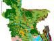 Increasing Maize plantation in Bangladesh
