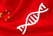 Updated GM policy in China for corn and soybean