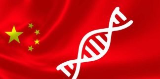 Updated GM policy in China for corn and soybean