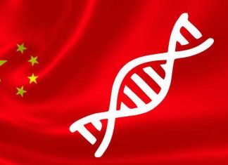 Updated GM policy in China for corn and soybean