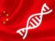 Updated GM policy in China for corn and soybean
