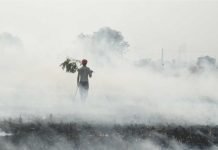 Low-cost bio-enzyme – converting farm waste into fertilizer