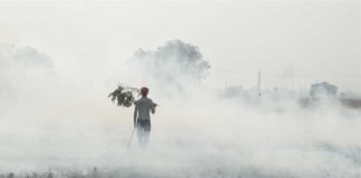 Low-cost bio-enzyme – converting farm waste into fertilizer