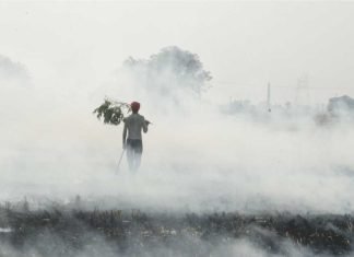 Low-cost bio-enzyme – converting farm waste into fertilizer