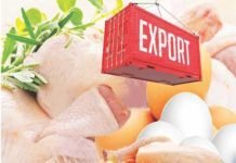 Update on Indian poultry exports