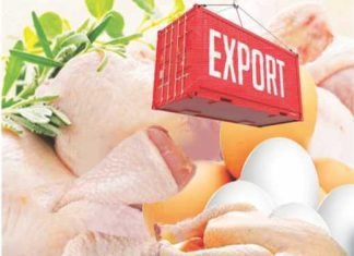 Update on Indian poultry exports