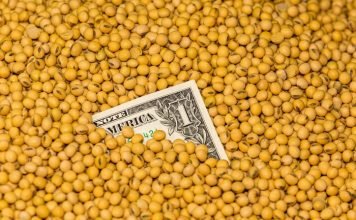How soyabean holding would impact the Indian poultry industry.