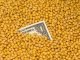 How soyabean holding would impact the Indian poultry industry.