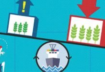 Rising animal feeds prices in Africa despite allowed duty free imports