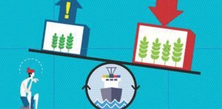 Rising animal feeds prices in Africa despite allowed duty free imports