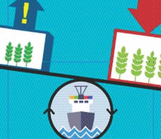 Rising animal feeds prices in Africa despite allowed duty free imports