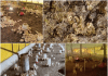 Winter management in poultry farming