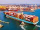 Future of Indian Farm Export to Cross $50 Billion in 2022.