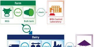 Profitability to Sustainability in dairying explained by Dr K Rathnam