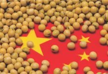 China procures competitive U.S. soybeans