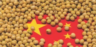 China procures competitive U.S. soybeans