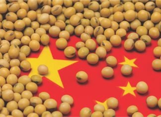 China procures competitive U.S. soybeans