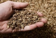 Distillery Wet Grain Soluble (DWGS) and Distillery Dry Grain Soluble (DDGS) under GST slab