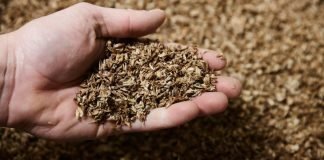 Distillery Wet Grain Soluble (DWGS) and Distillery Dry Grain Soluble (DDGS) under GST slab