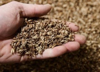 Distillery Wet Grain Soluble (DWGS) and Distillery Dry Grain Soluble (DDGS) under GST slab