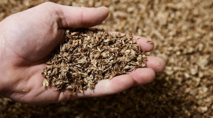 Distillery Wet Grain Soluble (DWGS) and Distillery Dry Grain Soluble (DDGS) under GST slab