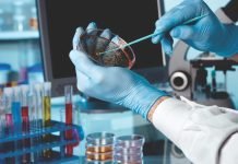 FEED FOR THOUGHT – Safety Based & Future Focused