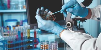 FEED FOR THOUGHT – Safety Based & Future Focused