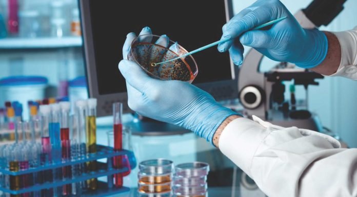 FEED FOR THOUGHT – Safety Based & Future Focused