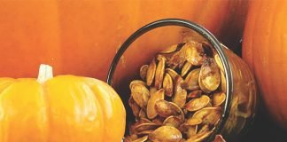 Pumpkin seed cake – A replacement to soybean meal in dairy cows