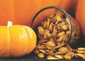 Pumpkin seed cake – A replacement to soybean meal in dairy cows