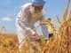 Food and feed commodity exports opportunities for India