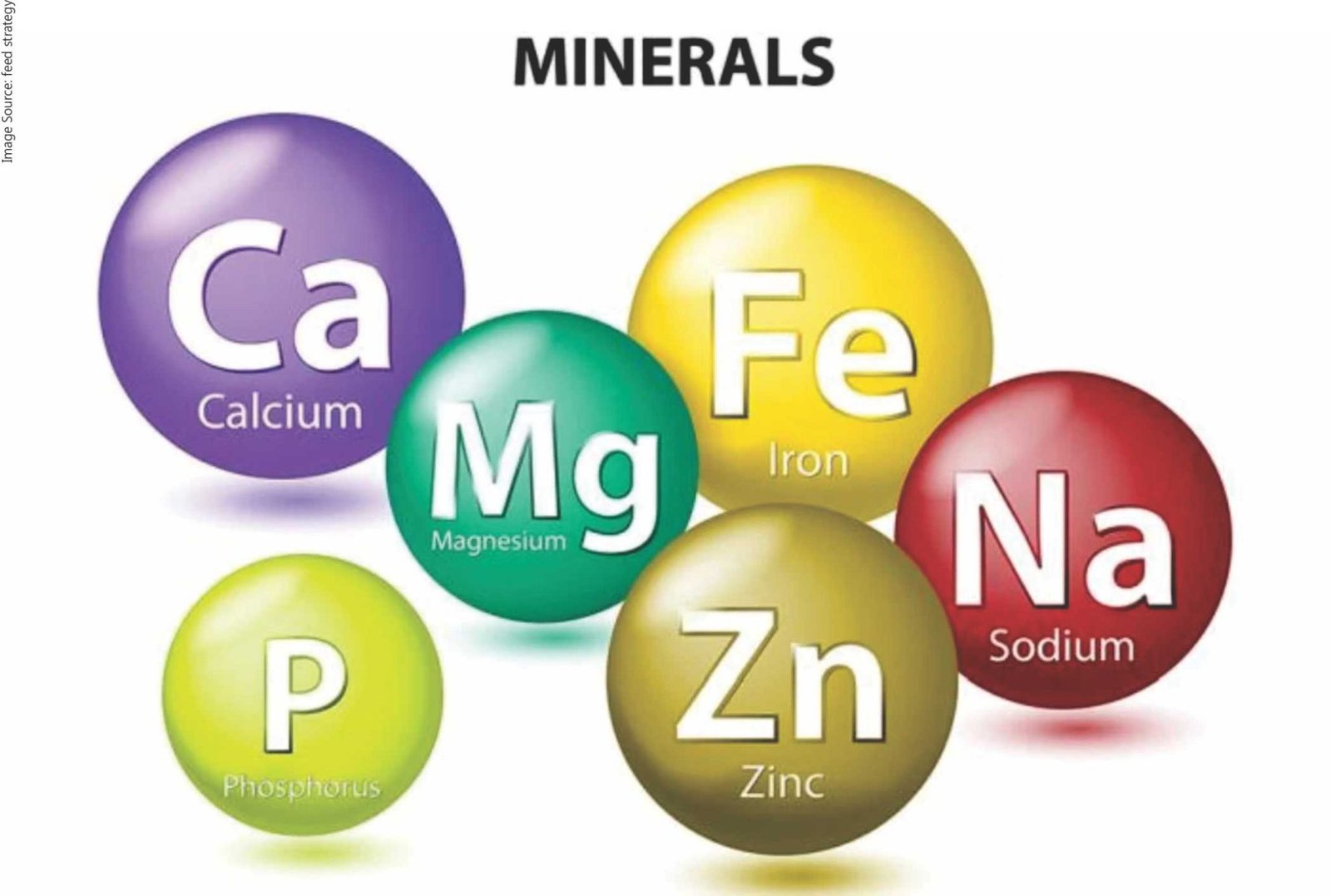 securing-the-first-position-sheer-blend-of-minerals-having-an-edge-in