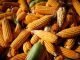 China remained top destination for Corn, Sorghum and Soybean
