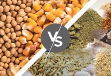 Should we opt for unconventional feed raw materials?