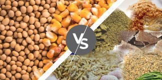 Should we opt for unconventional feed raw materials?