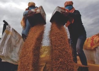 Russia-Ukraine war impact on Indian wheat