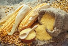 Poultry industry seeks subsidy on maize, rice to minimise input cost