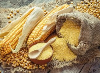 Poultry industry seeks subsidy on maize, rice to minimise input cost