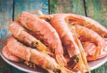 India benefitted by increase in US shrimp import