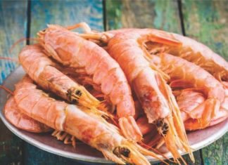 India benefitted by increase in US shrimp import
