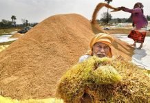 Paddy crisis adds to worries in Telangana
